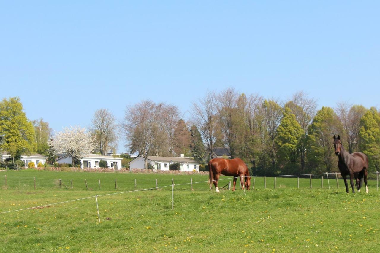 Domein Hellebeuk Met Uitzicht! Valkenburg/Klimmen Exteriér fotografie